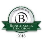 Benchmark Litigation-2018