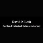 David Lesh Attorney at Law
