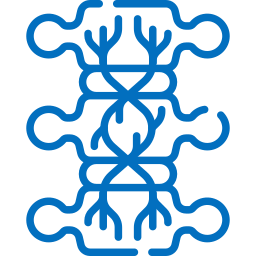 Spinal Cord Injury