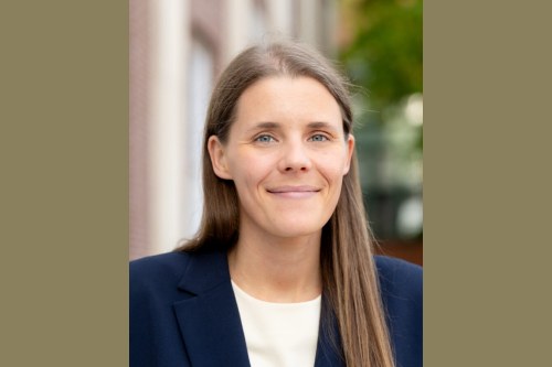 Elizabeth A. Frye