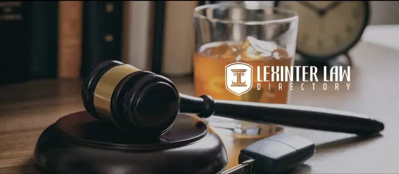Ari Goldberg Lawyer | Lexinter Law Directory