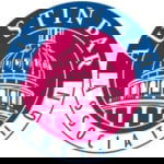 Austin Bar Association