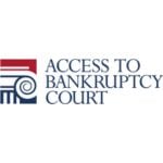 Andrijana Vujic Access to Bankruptcy Court
