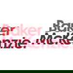 Baker & McKenzie LLP