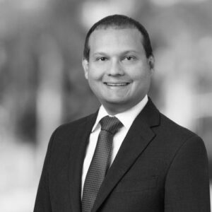 Henrik Patel